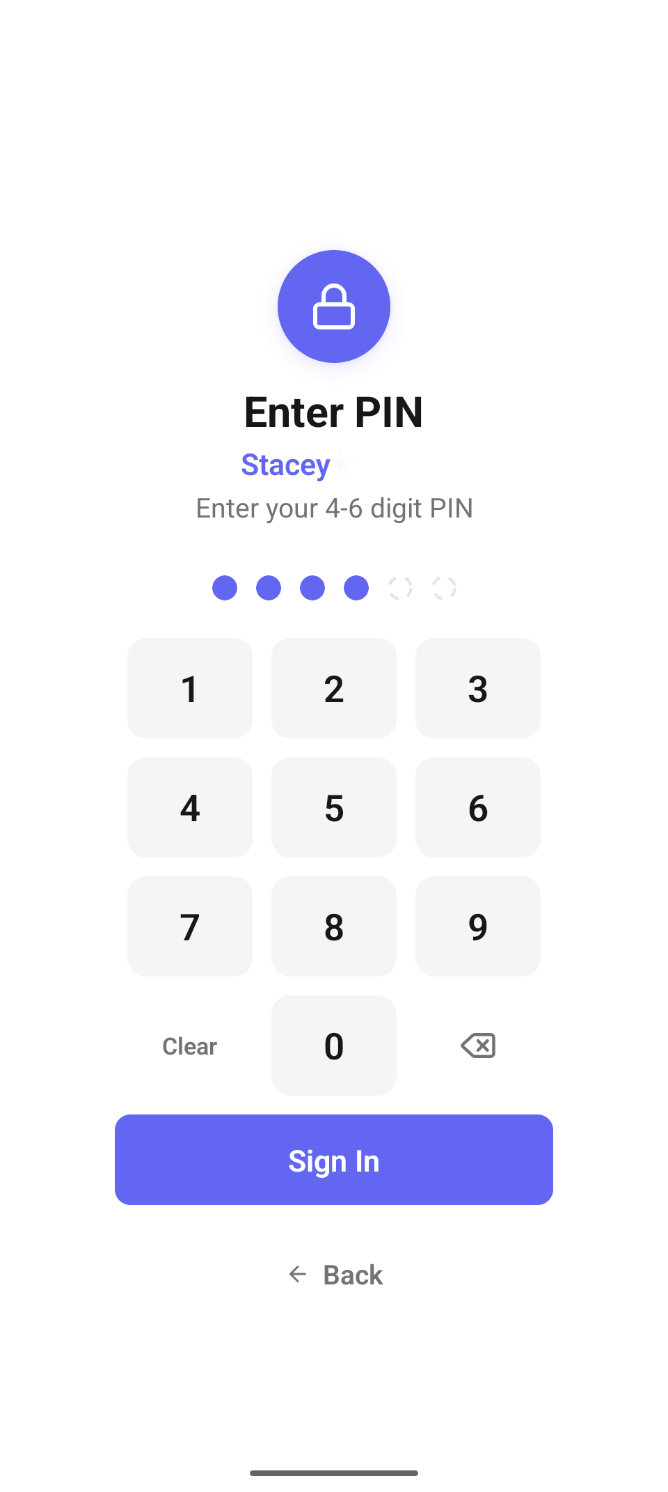 Sign in with your PIN